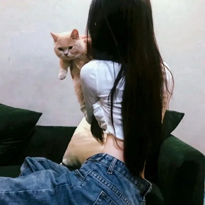 云破月来圆